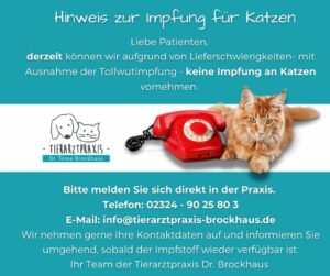 Tierarztpraxis Dr. Brockhaus in Hattingen - Hinweis Katzen impfen 09.2021